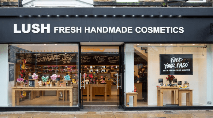 Lessons Learned from Lush Cosmetics: Building a Brand Through Ethical Marketing
